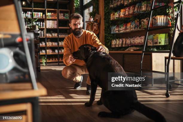 jeune homme et labrador dans l’animalerie - équipement pour animaux de compagnie photos et images de collection