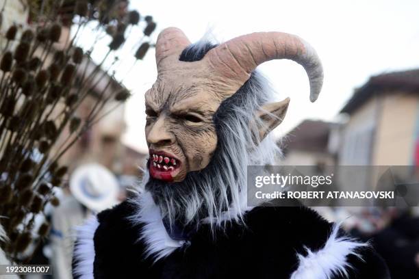 Reveller wears a carnival costume as he takes part in a parade in the village of Vevcani, in southwest Macedonia, on January 13, 2024. The...