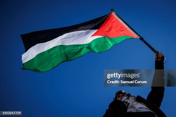 Pro-Palestine demonstrator waves a Palestinian flag in the air as demonstrators gather at Freedom Plaza for a rally on January 13, 2024 in...