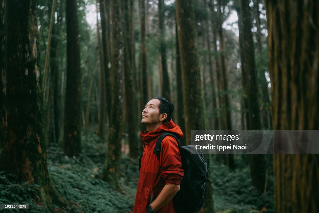 Man contemplating in forest