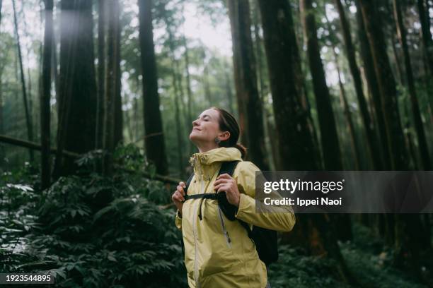 woman contemplating in forest - skog bildbanksfoton och bilder