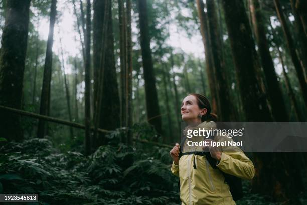 woman contemplating in forest - senderismo fotografías e imágenes de stock