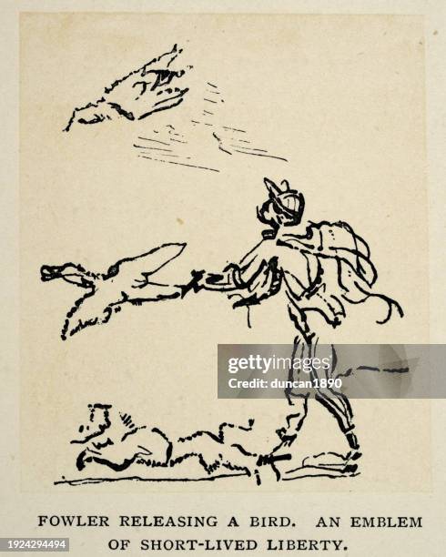 fowler releasing a bird, hunter, hunting, after a drawing by leonardo da vinci - falconry stock illustrations