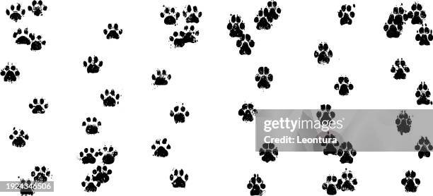 stockillustraties, clipart, cartoons en iconen met cat and dog print footpaths - animal footprint