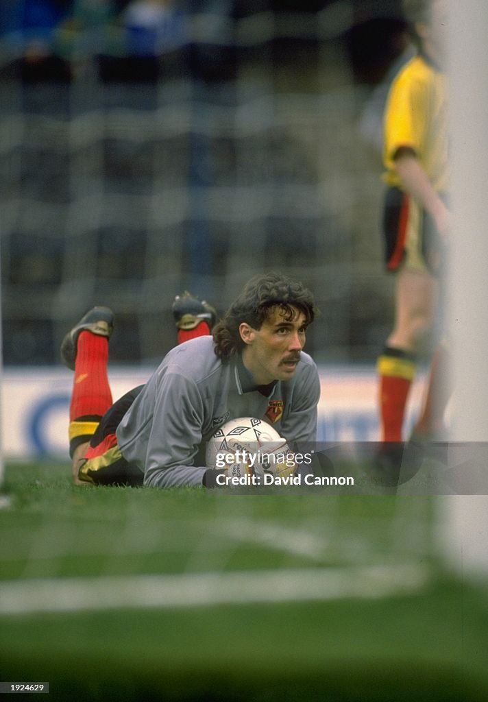 Watford goalkeeper Tony Coton