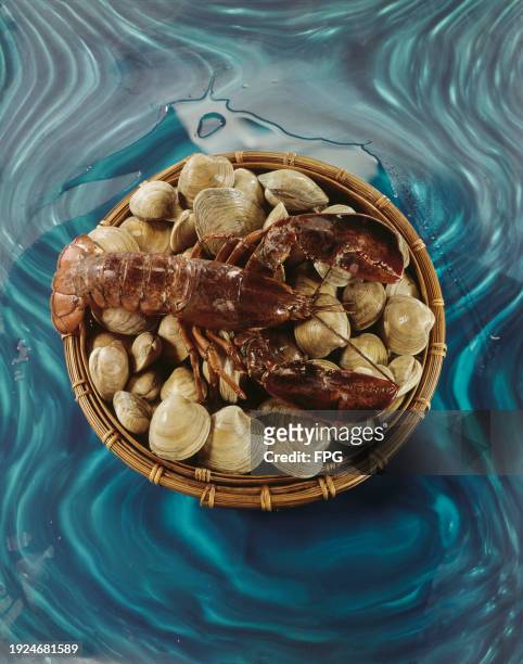 View from above a rattan basket containing a lobster on top of clams, US, 1968.