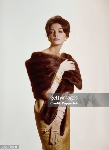 Posed studio portrait of a female fashion model wearing a dark brown fur stole over a textured gold coloured dress, she wears a pair of elbow length...