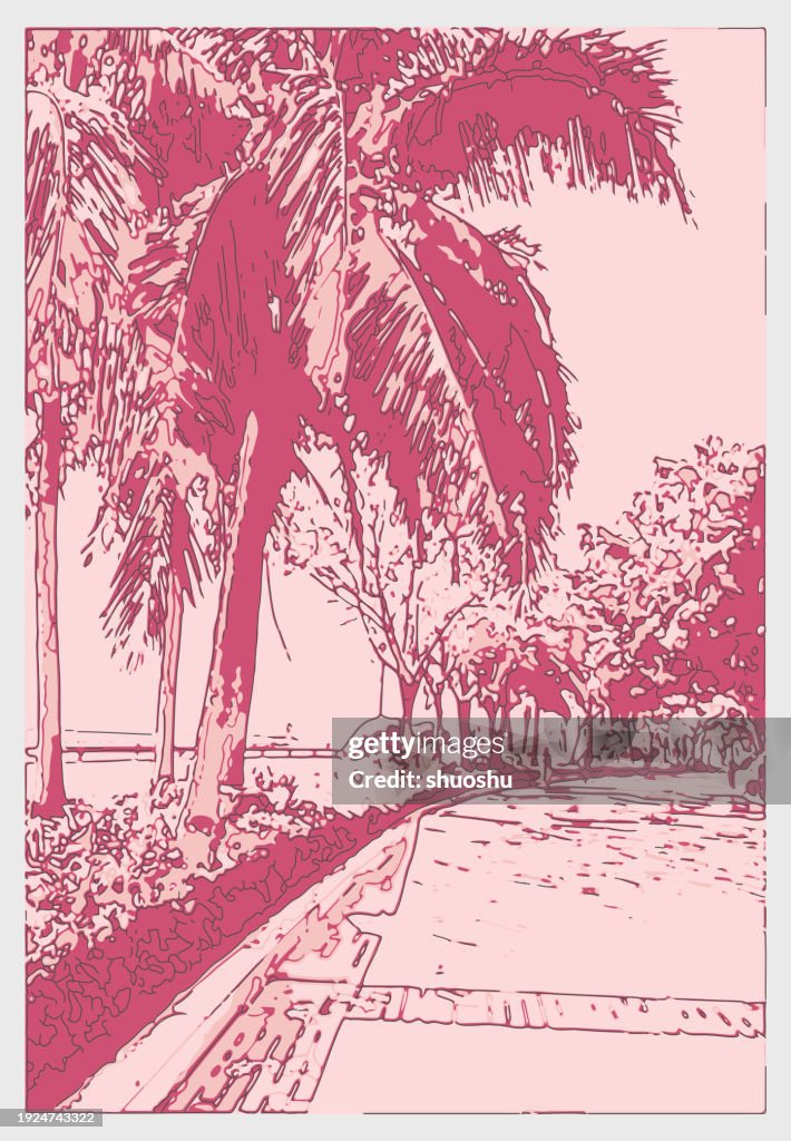 Outline printmaking style Palm tree in street side scene illustration background