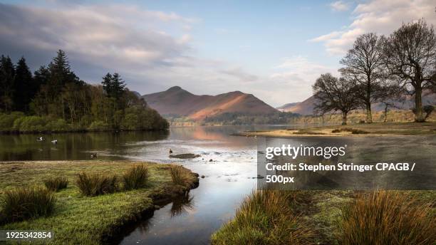 scenic view of lake against sky,keswick,united kingdom,uk - stephen stock pictures, royalty-free photos & images