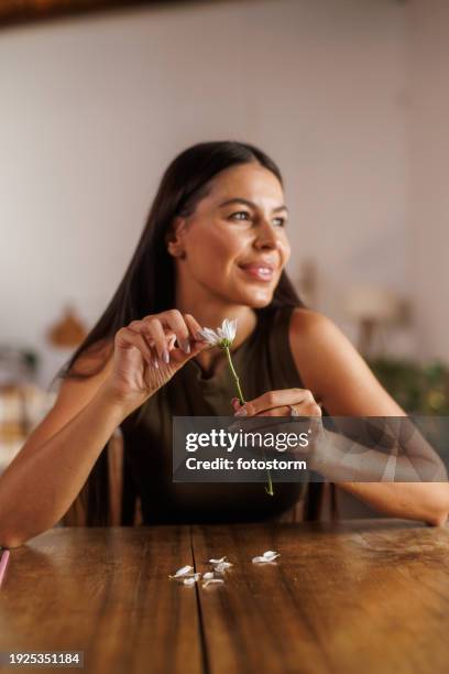 woman sitting at table, doing a ''loves me, loves me not'' with a flower - 花びら占い ストックフォトと画像