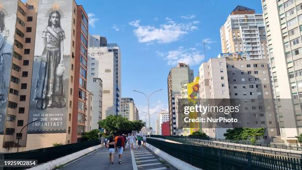 Pedestrians are enjoying the sunny Sunday at Minhocao Park in Sao Paulo, Brazil, on January 14, 2024.