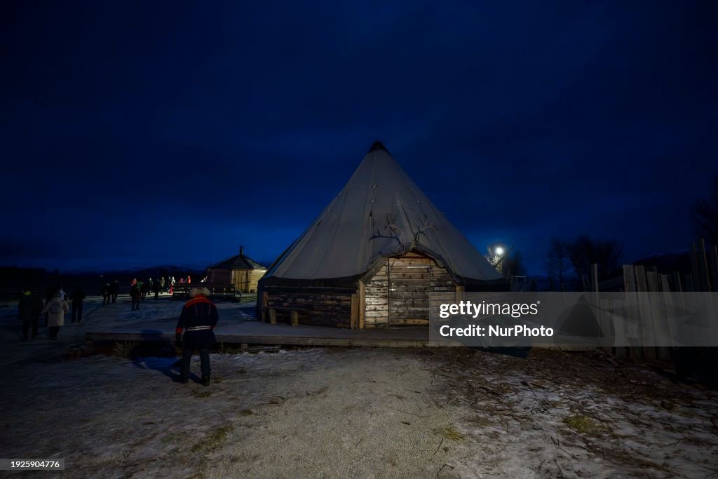 Reindeer Husbandry In Tromso, Norway