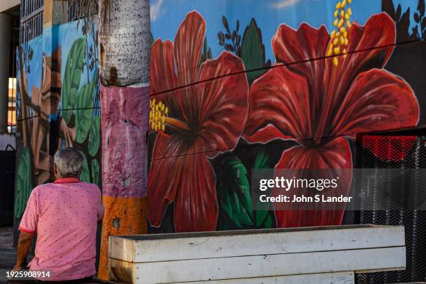 Aguadilla, where the community is a big family, you will find a small neighborhood of murals and public art, the most fsmous of which is Bandera de...