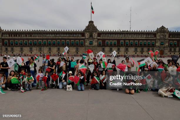 Members of the Palestinian community in Mexico, along with various social and political organizations, are holding kites in the Zocalo of Mexico...