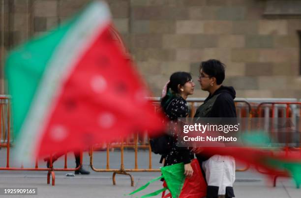 Members of the Palestinian community in Mexico, along with various social and political organizations, are flying kites in the Zocalo of Mexico City,...