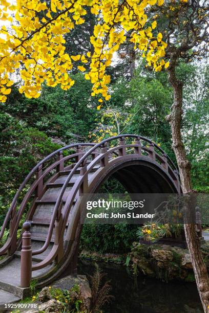 Originally created as a "Japanese Village" exhibit for the 1894 California Midwinter International Exposition, the Japanese Tea Garden at Golden Gate...