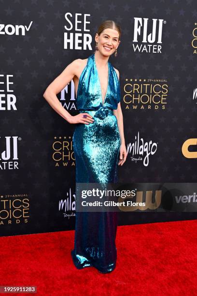 Rosamund Pike at The 29th Critics' Choice Awards held at The Barker Hangar on January 14, 2024 in Santa Monica, California.