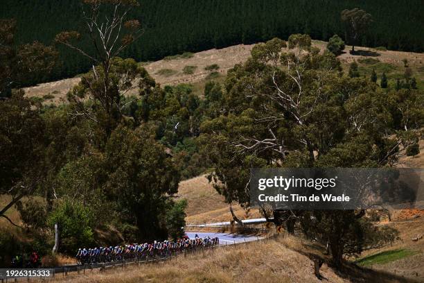 General view of the peloton competing during the 8th Santos Women's Tour Down Under 2024, Stage 1 a 93.9km stage from Hahndorf to Campbelltown /...