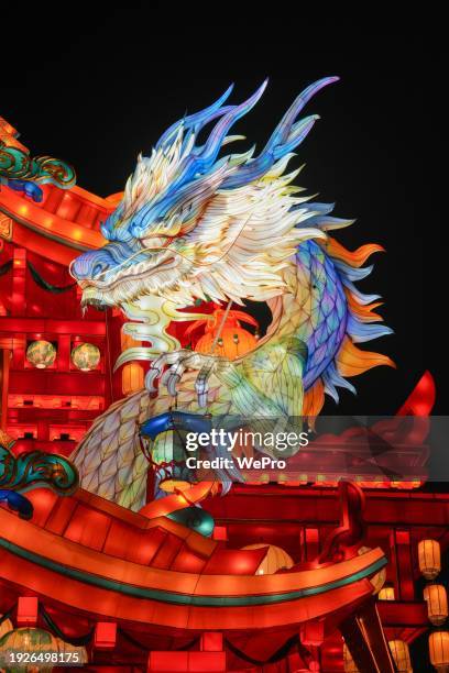 celebrating chinese new year, dragon lanterns for the year of the dragon - lanterna cinese foto e immagini stock