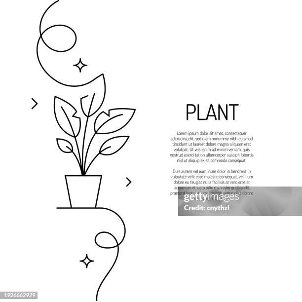 continuous line drawing of plant icon. hand drawn symbol vector illustration. - flower growing stock illustrations