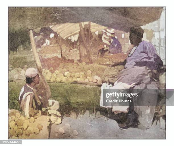 illustrations, cliparts, dessins animés et icônes de antique photo de peintures : vendeur orange - coupe à fruits