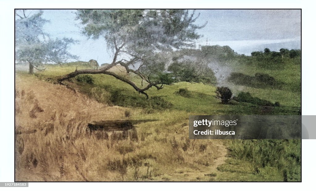 Antique photo of paintings: Landscape