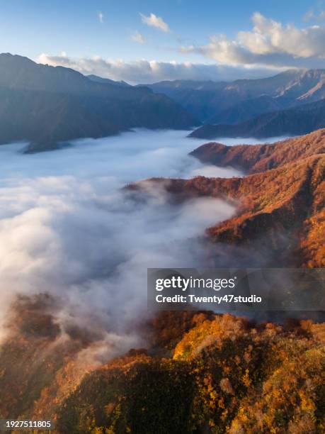 aerial view of the sea of clouds in the morning in autumn at mount echigo komagatake in niigata - echigo yuzawa stock pictures, royalty-free photos & images