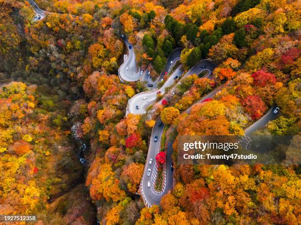 aerial view of mountain winding road and colorful landscape in autumn - nikko bildbanksfoton och bilder