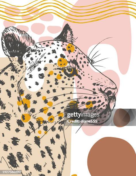 stockillustraties, clipart, cartoons en iconen met boho style tropical background template - luipaard