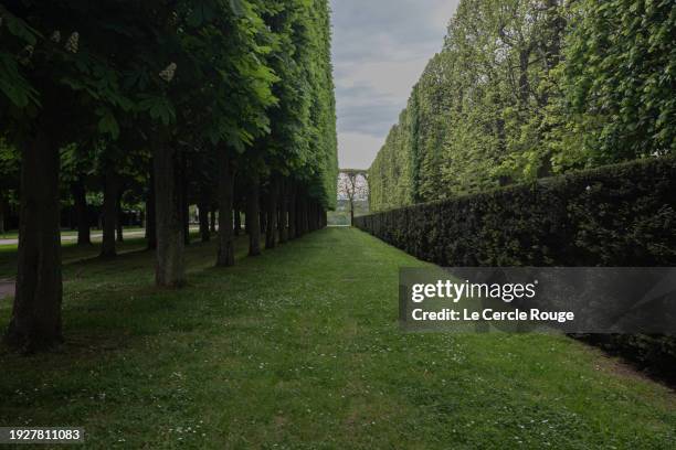 garden perspective - hauts de seine stock pictures, royalty-free photos & images