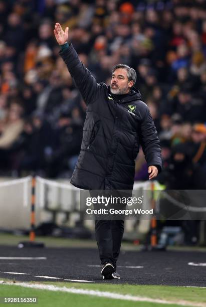 David Wagner, Manager of Norwich City, reacts during the Sky Bet Championship match between Hull City and Norwich City at MKM Stadium on January 12,...