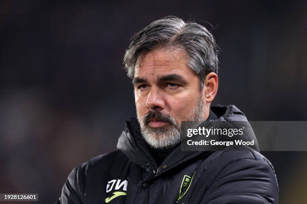 David Wagner, Manager of Norwich City, looks on during the Sky Bet Championship match between Hull City and Norwich City at MKM Stadium on January...