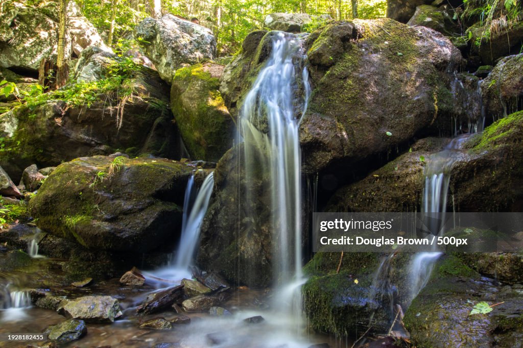 Scenic view of waterfall in forest,Virginia,United States,USA