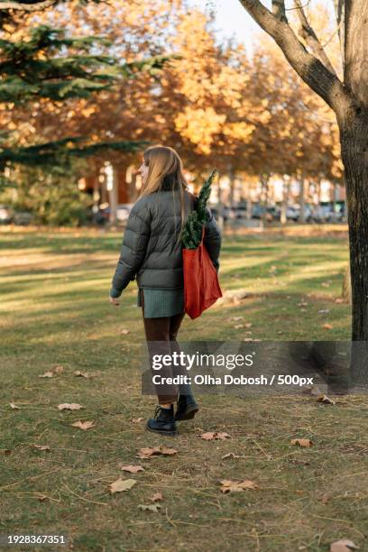 rear view of woman walking in park - peel park stock pictures, royalty-free photos & images