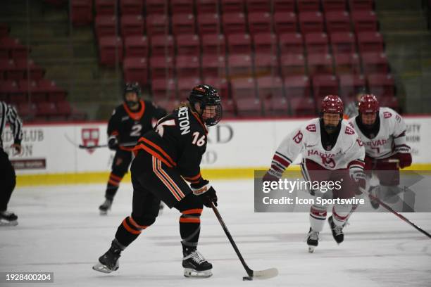 920 Princeton Hockey Stock Photos, High-Res Pictures, and Images - Getty Images 920-princeton-hockey-stock-photos-high-res-pictures-and-images-getty-images