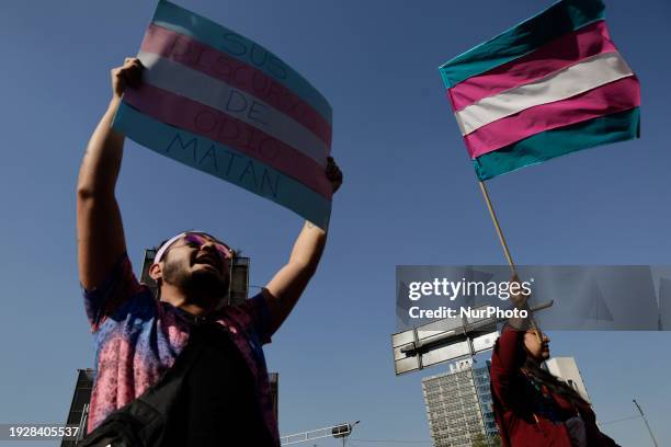 Mexico Trans 1,208 Transgender Mexico Stock Photos, High-Res Pictures, and Images ...