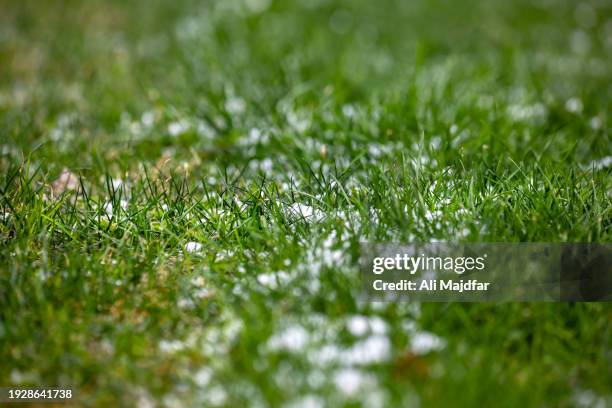 snow in grass - autumn frost stock pictures, royalty-free photos & images