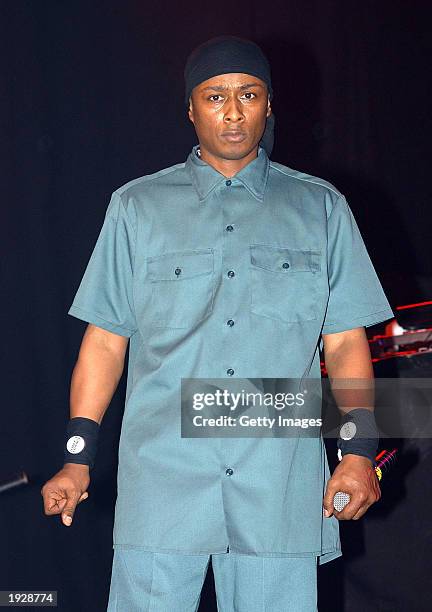 Prof Griff 341 Professor Griff Photos & High Res Pictures - Getty Images