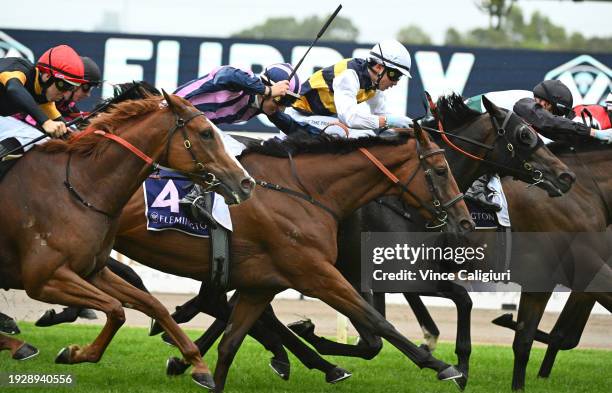 Jack Hill riding Regal Vow wins race on protest from Damian Lane riding King Gesture and Ryan Houston riding Riverport in Race 6, the Jockey...