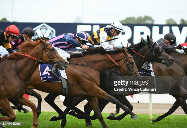 Jack Hill riding Regal Vow wins race on protest from Damian Lane riding King Gesture and Ryan Houston riding Riverport in Race 6, the Jockey...