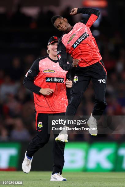 Akeal Hosein of the Renegades celebrates the wicket of Marcus Stoinis of the Melbourne Stars during the BBL match between Melbourne Renegades and...