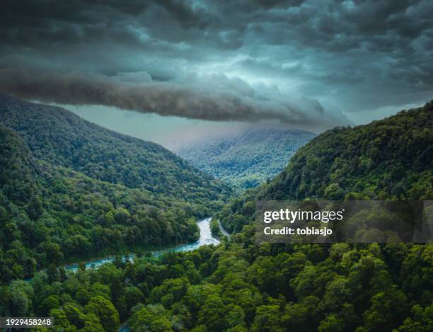 new zealand road trip adventure through rainforest - dark sky stock pictures, royalty-free photos & images