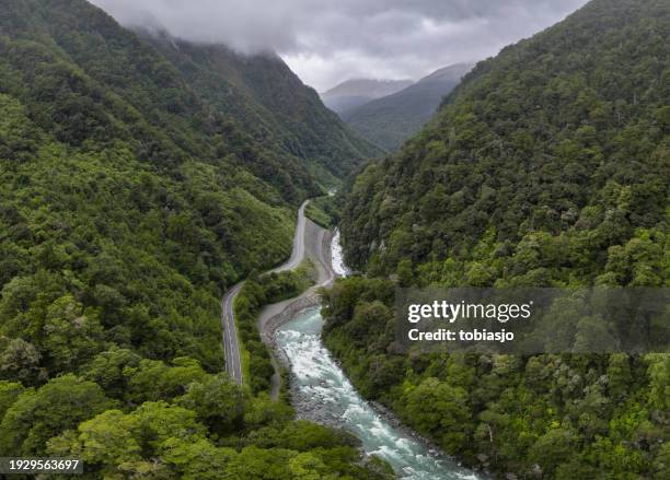 scenic road along a river surrounded by green rainforest - empty road stock pictures, royalty-free photos & images