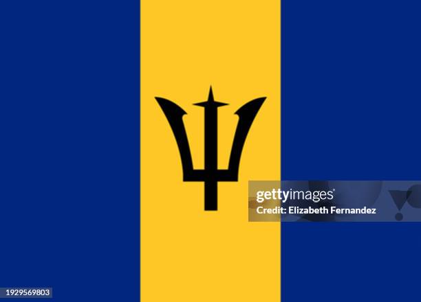 187 Barbados Flag Colors Stock Photos High Res Pictures And Images 187-barbados-flag-colors-stock-photos-high-res-pictures-and-images