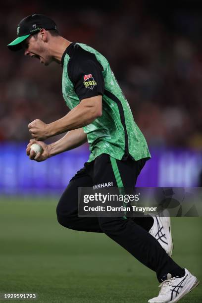 Hilton Cartwright of the Stars celebrates a catch to dismiss Jordan Cox of the Renegades during the BBL match between Melbourne Renegades and...