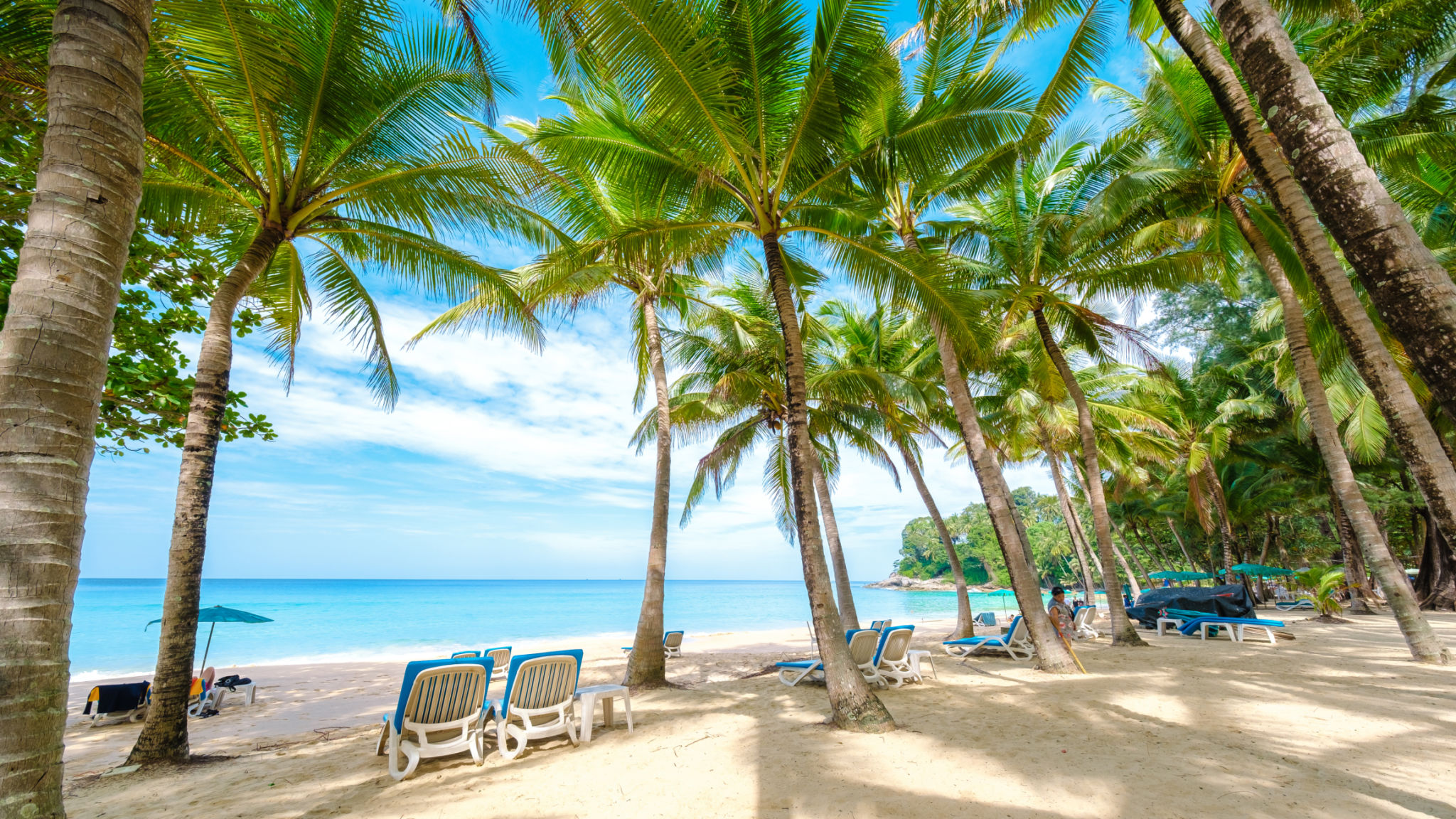 Surin Beach Phuket a tropical beach with beach chairs and palm trees on a sunny day Surin Beach Phuket a tropical beach with beach chairs and palm trees on a sunny day