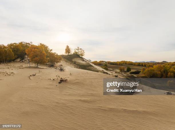 autumn sandland natural landscape - aerial top view steppe stock pictures, royalty-free photos & images