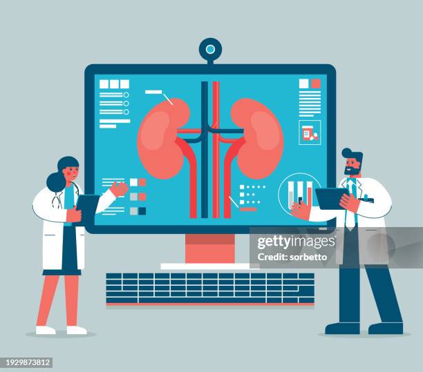 stockillustraties, clipart, cartoons en iconen met kidney organ - analyzing - nierbekkenontsteking