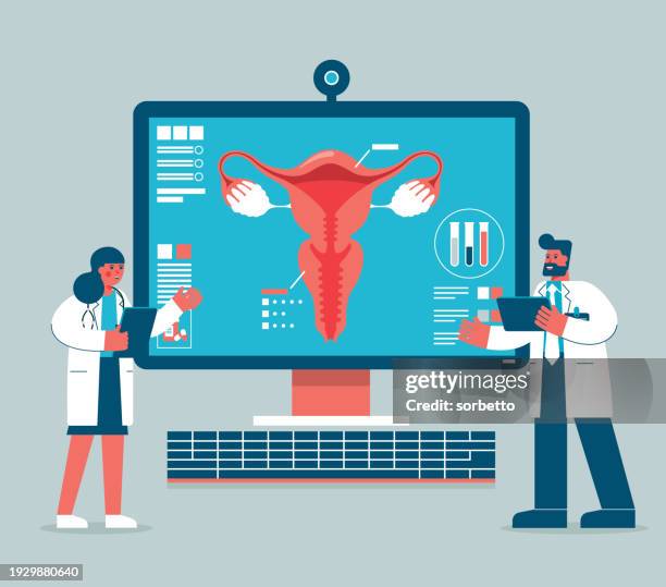 human uterus - analyzing - myometrium stock-grafiken, -clipart, -cartoons und -symbole