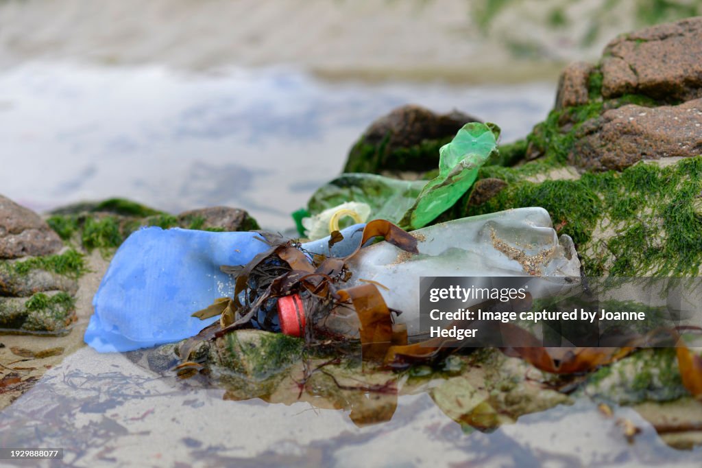 Polltion Partrollers Ocean Plastic Pollution Beach Patrol Mid Winter In Ireland High-Res ...